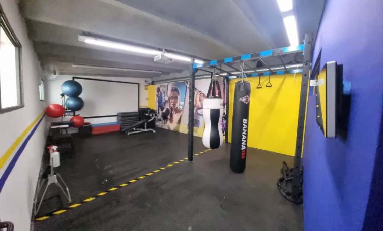 Sacos boxeo